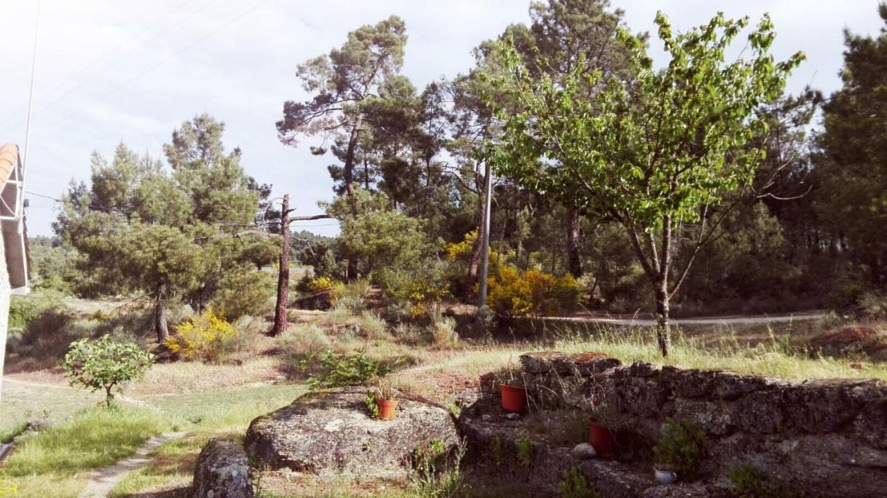 Casa De Malhoes Vilares Eksteriør bilde